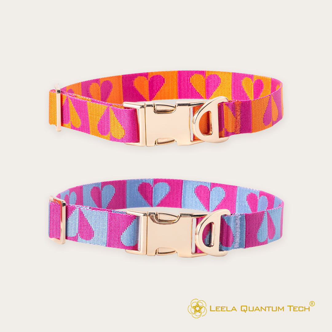 Leela Quantum HEAL® 提花狗狗項圈